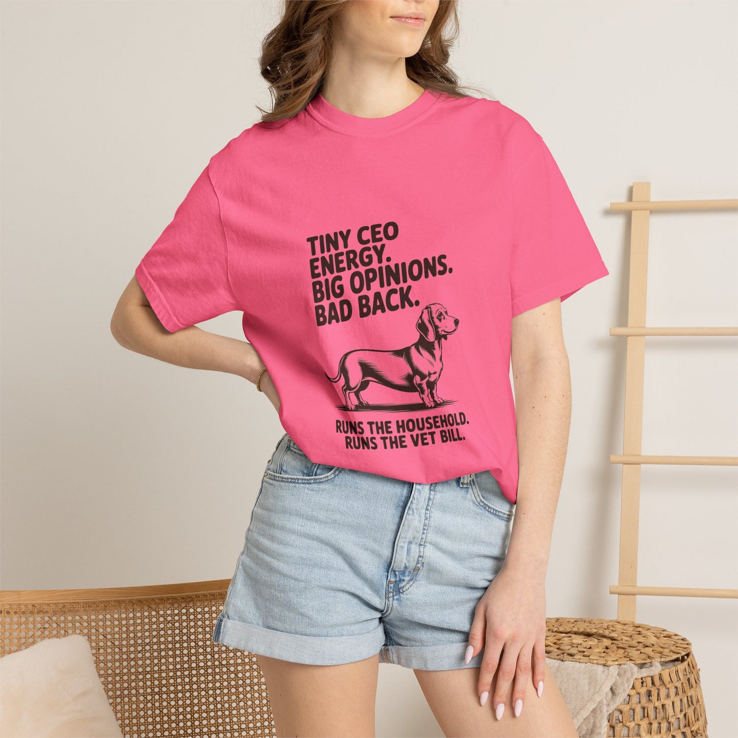 Dachshund — Tiny CEO energy. Big opinions. Bad back