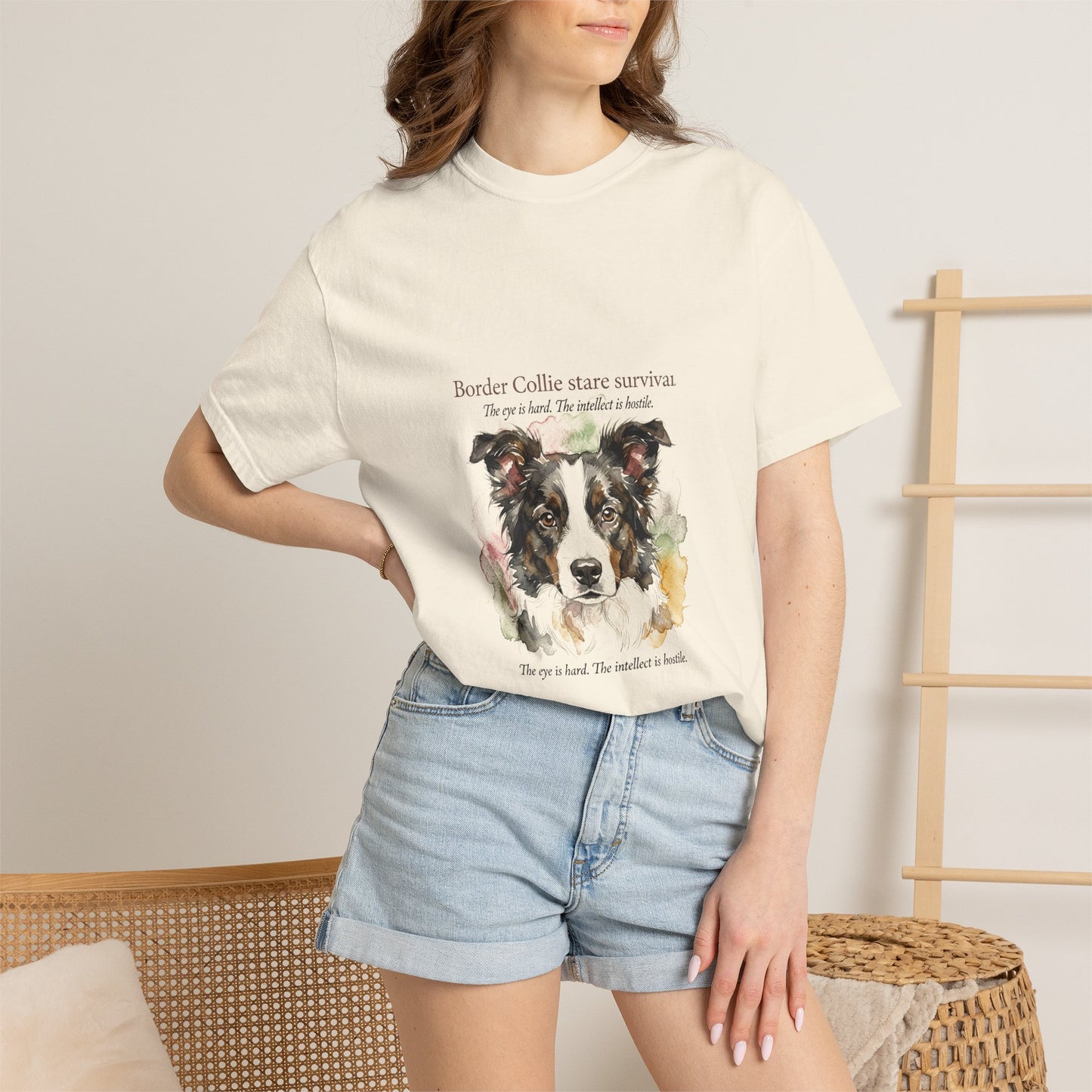 Border Collie — Border Collie Stare Survivor