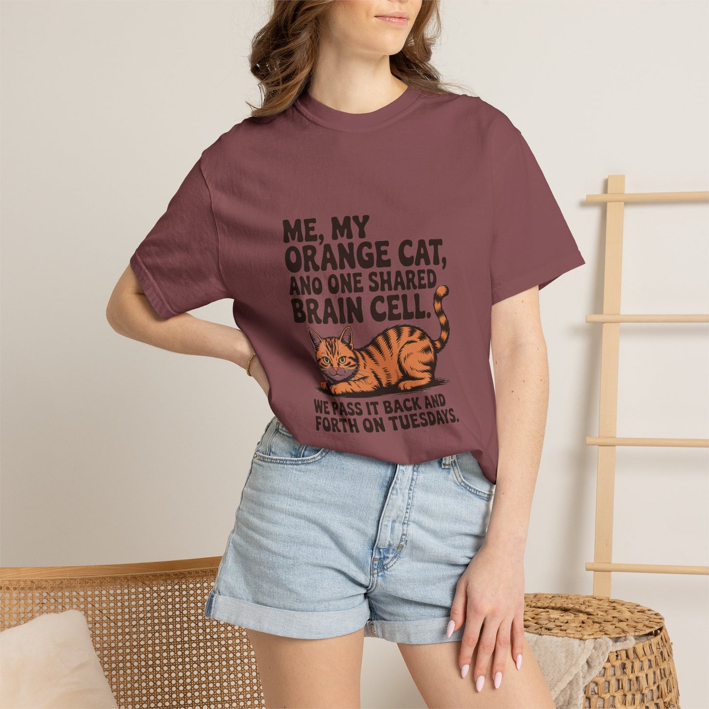 Orange Tabby — Me, my orange cat, and one shared brain cell
