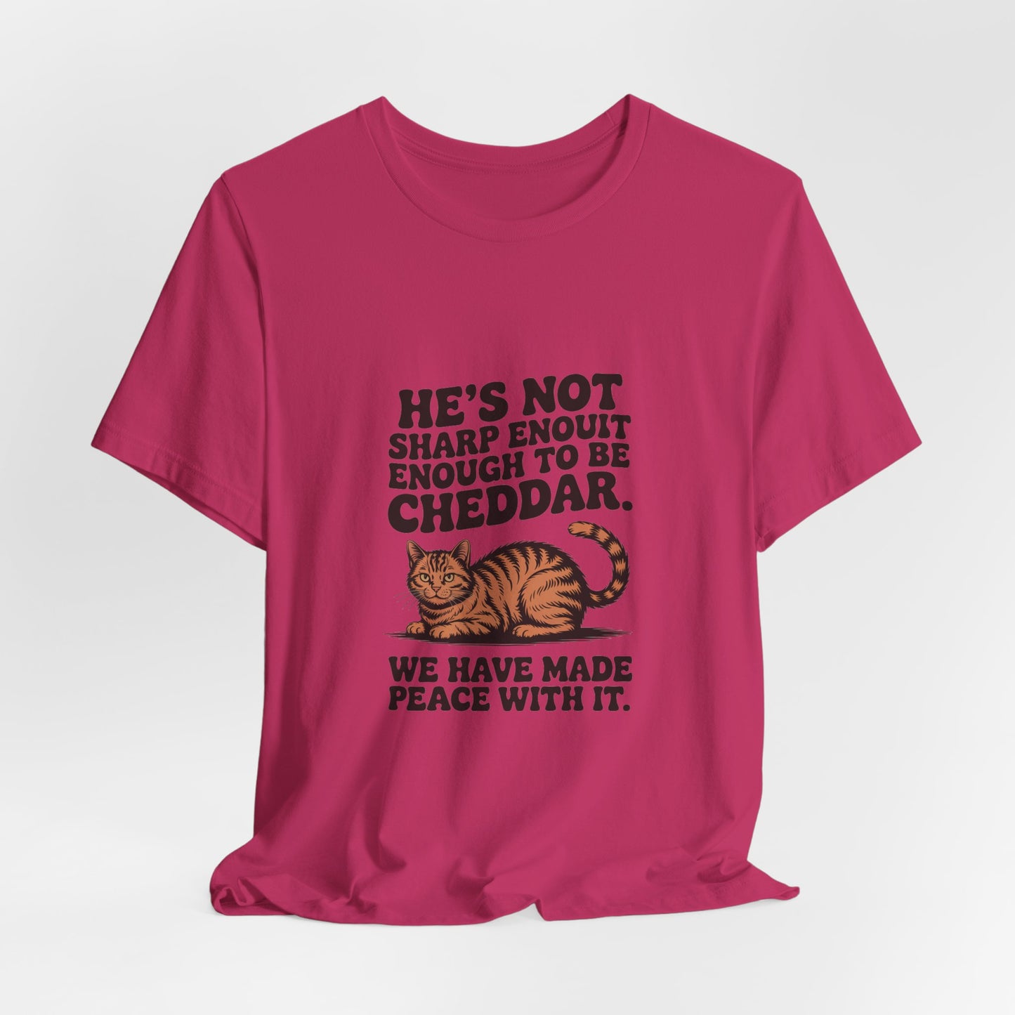 Orange Tabby — He's not sharp enough to be cheddar
