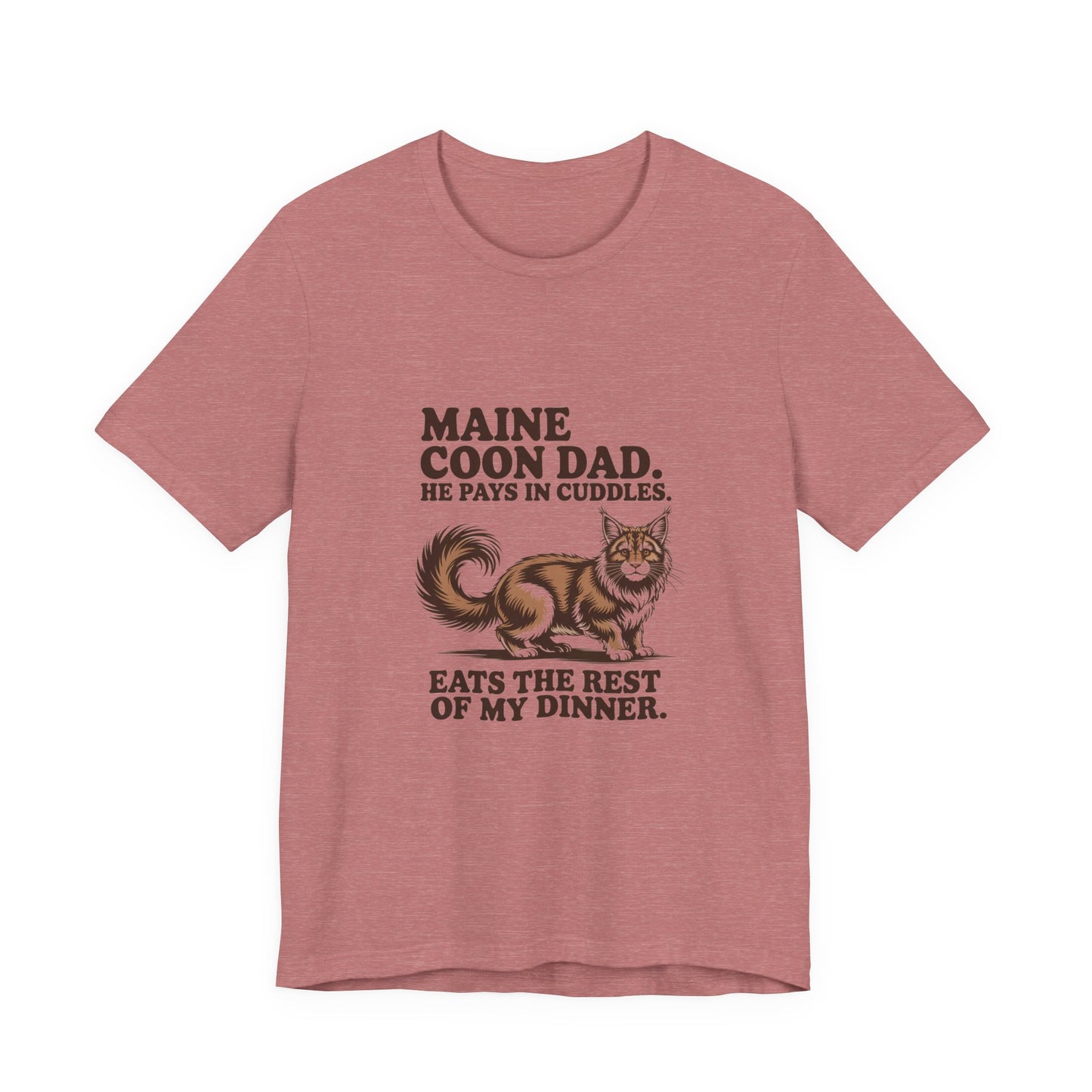 Maine Coon — Maine Coon Dad. He pays in cuddles