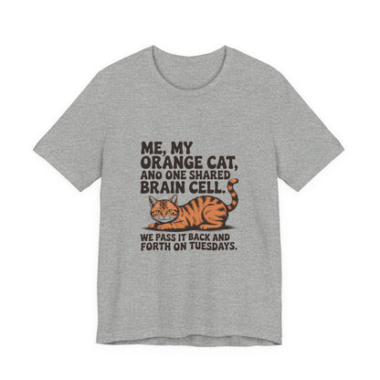Orange Tabby — Me, my orange cat, and one shared brain cell