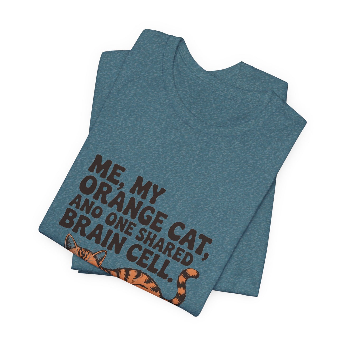 Orange Tabby — Me, my orange cat, and one shared brain cell