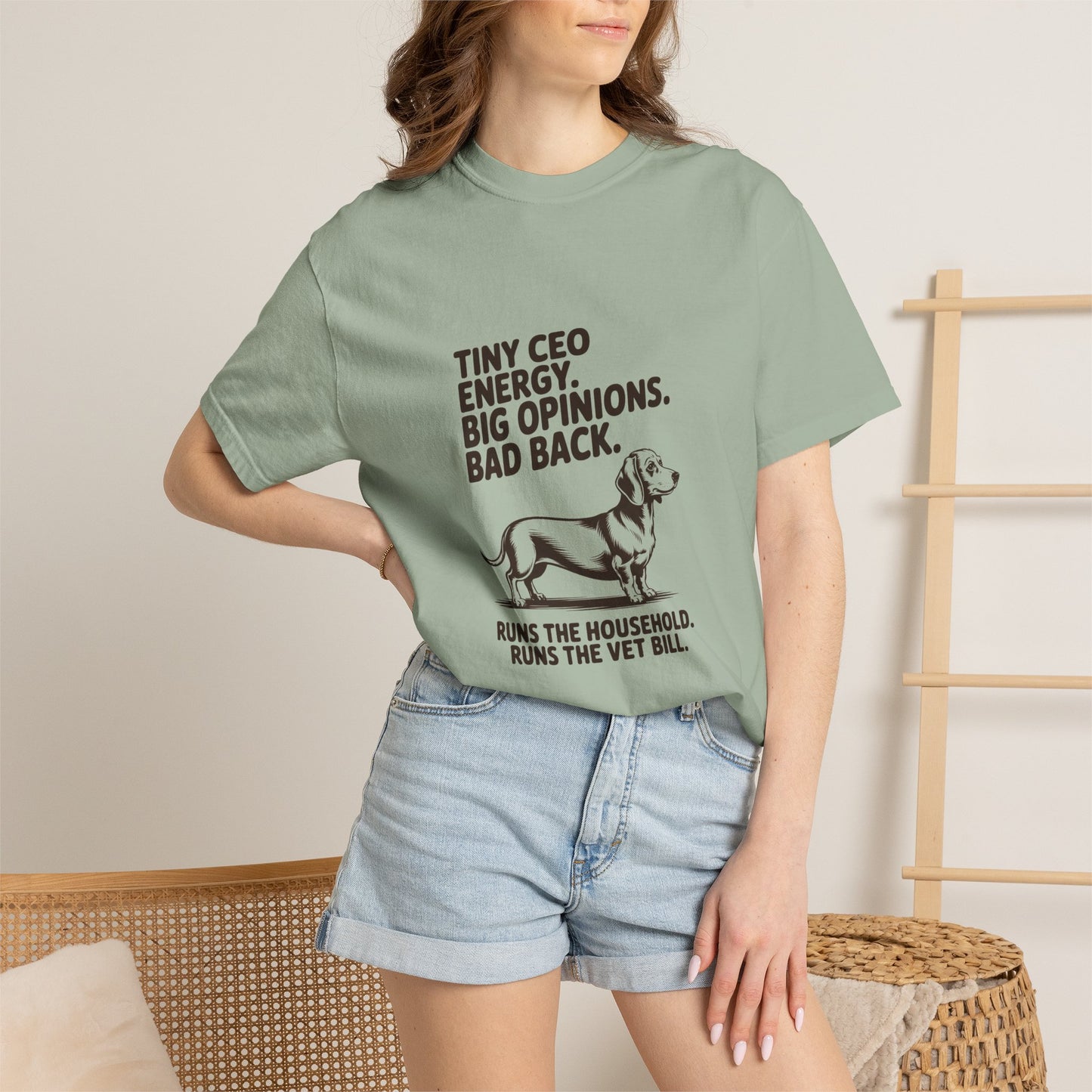 Dachshund — Tiny CEO energy. Big opinions. Bad back