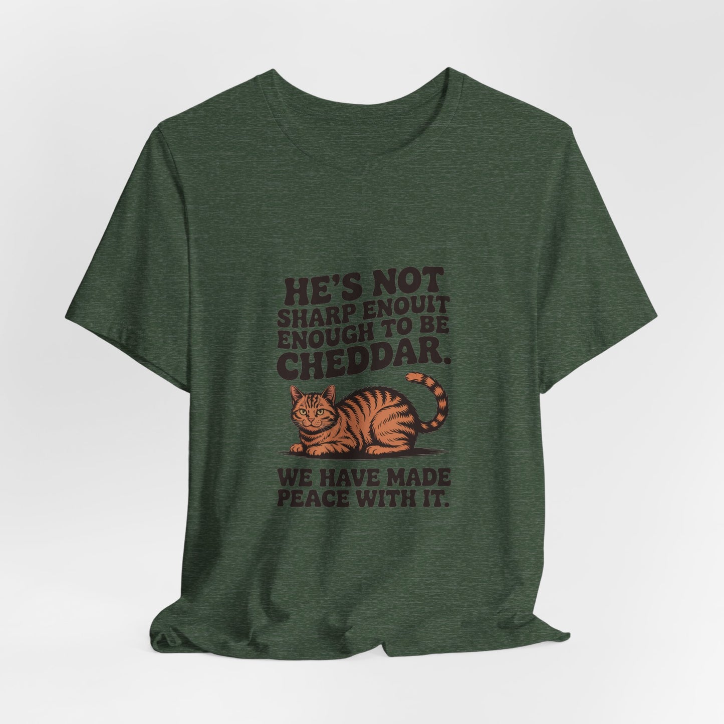 Orange Tabby — He's not sharp enough to be cheddar
