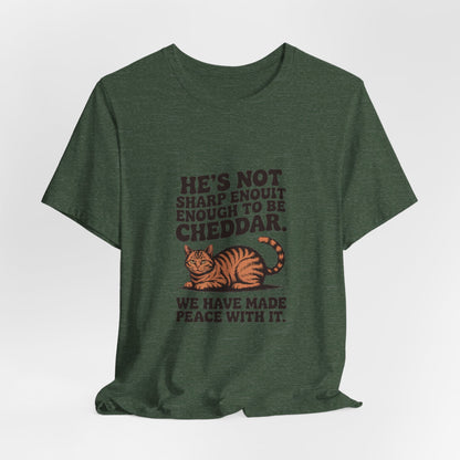 Orange Tabby — He's not sharp enough to be cheddar
