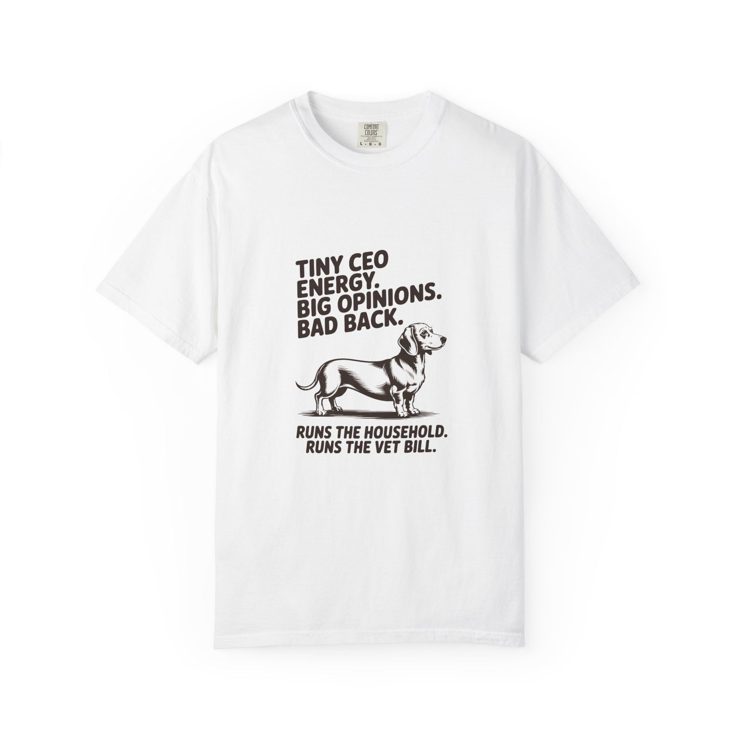 Dachshund — Tiny CEO energy. Big opinions. Bad back