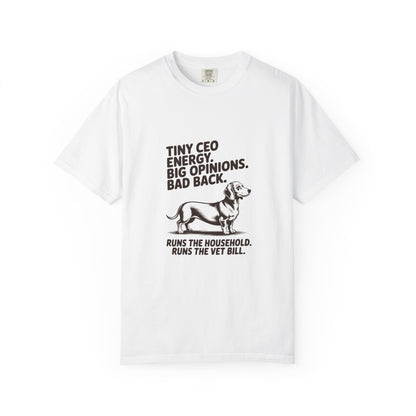 Dachshund — Tiny CEO energy. Big opinions. Bad back