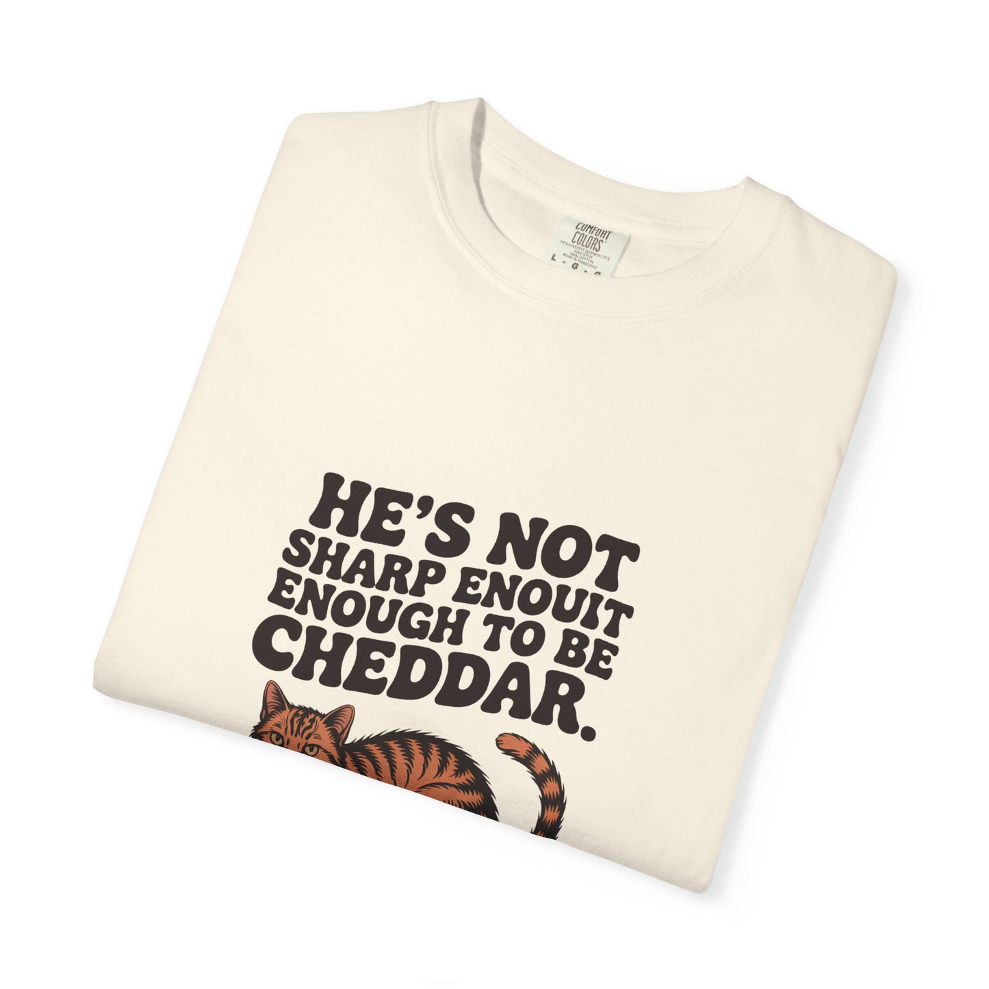 Orange Tabby — He's not sharp enough to be cheddar