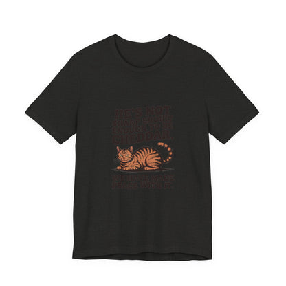 Orange Tabby — He's not sharp enough to be cheddar