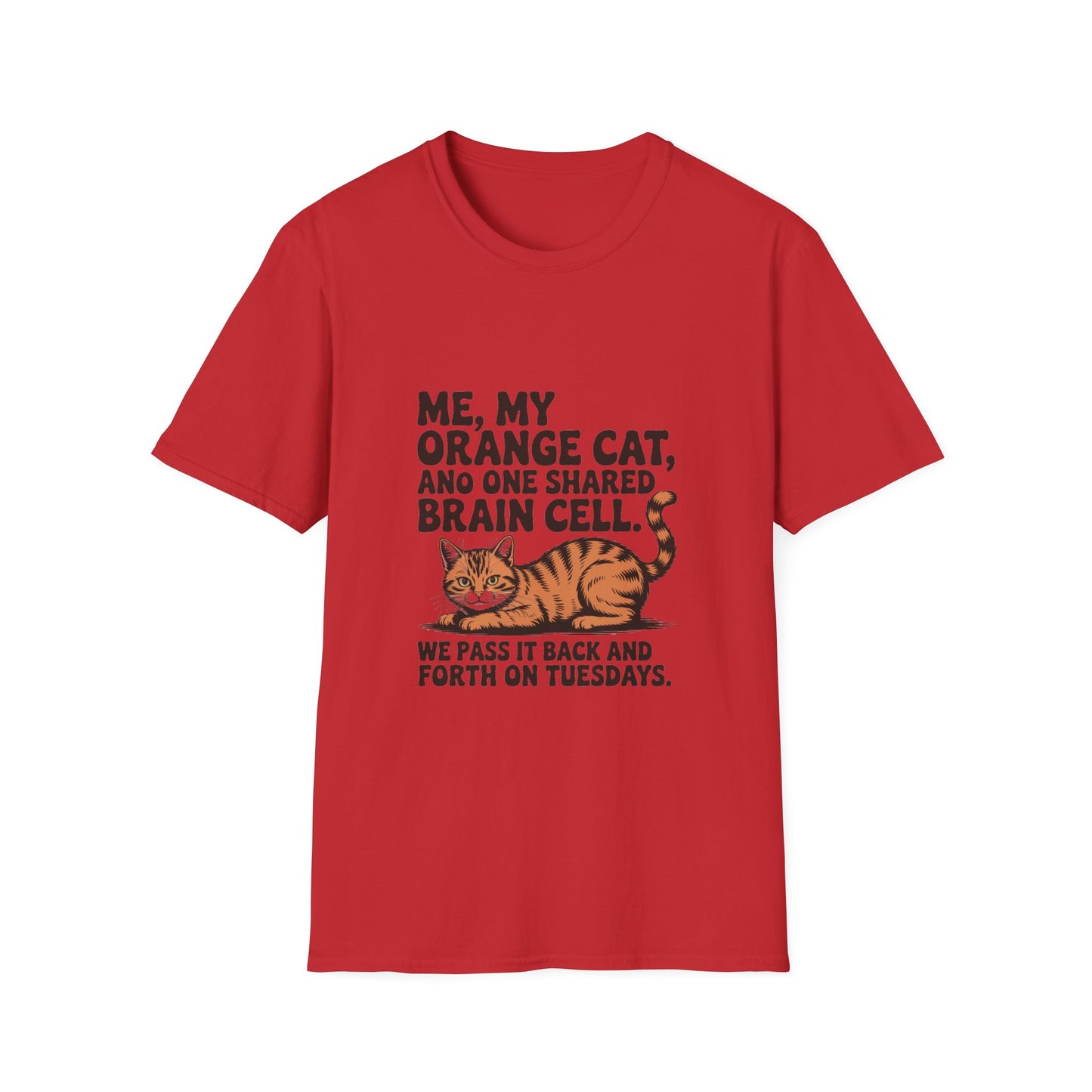 Orange Tabby — Me, my orange cat, and one shared brain cell