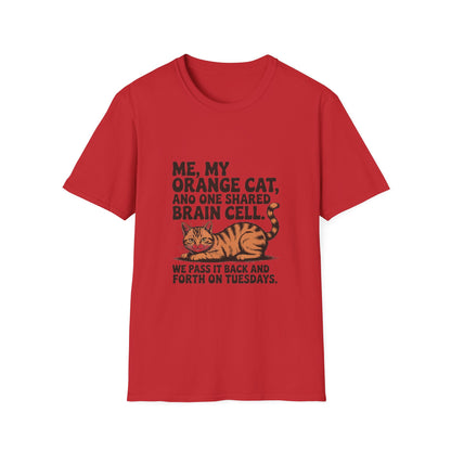 Orange Tabby — Me, my orange cat, and one shared brain cell
