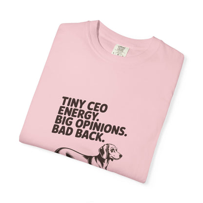 Dachshund — Tiny CEO energy. Big opinions. Bad back