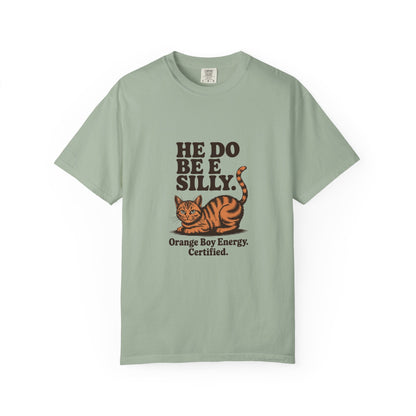 Orange Tabby — He do be silly
