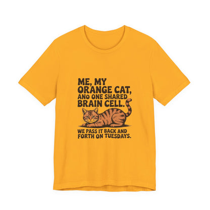 Orange Tabby — Me, my orange cat, and one shared brain cell