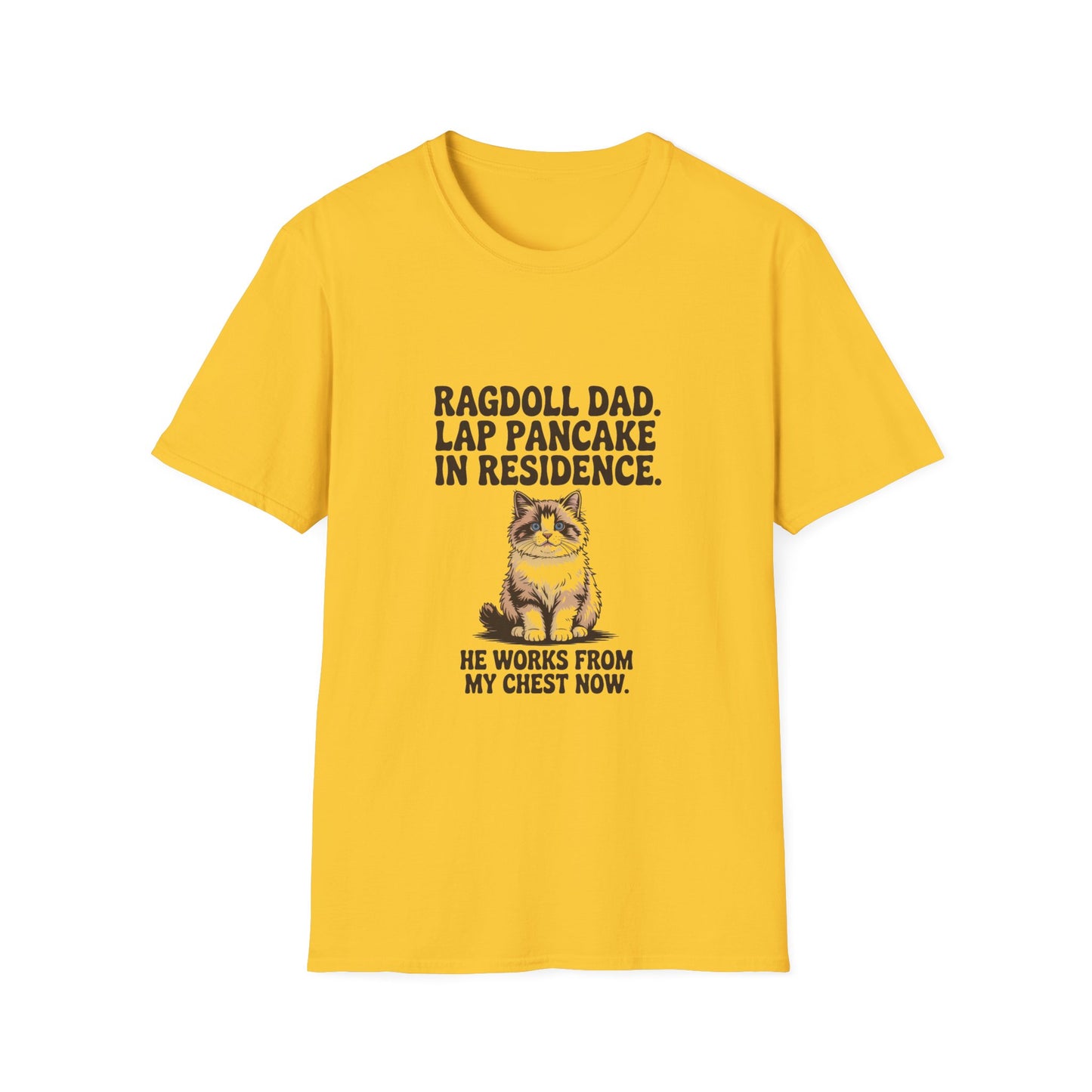 Ragdoll — Ragdoll Dad. Lap pancake in residence