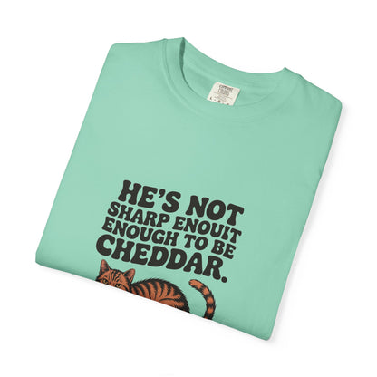 Orange Tabby — He's not sharp enough to be cheddar