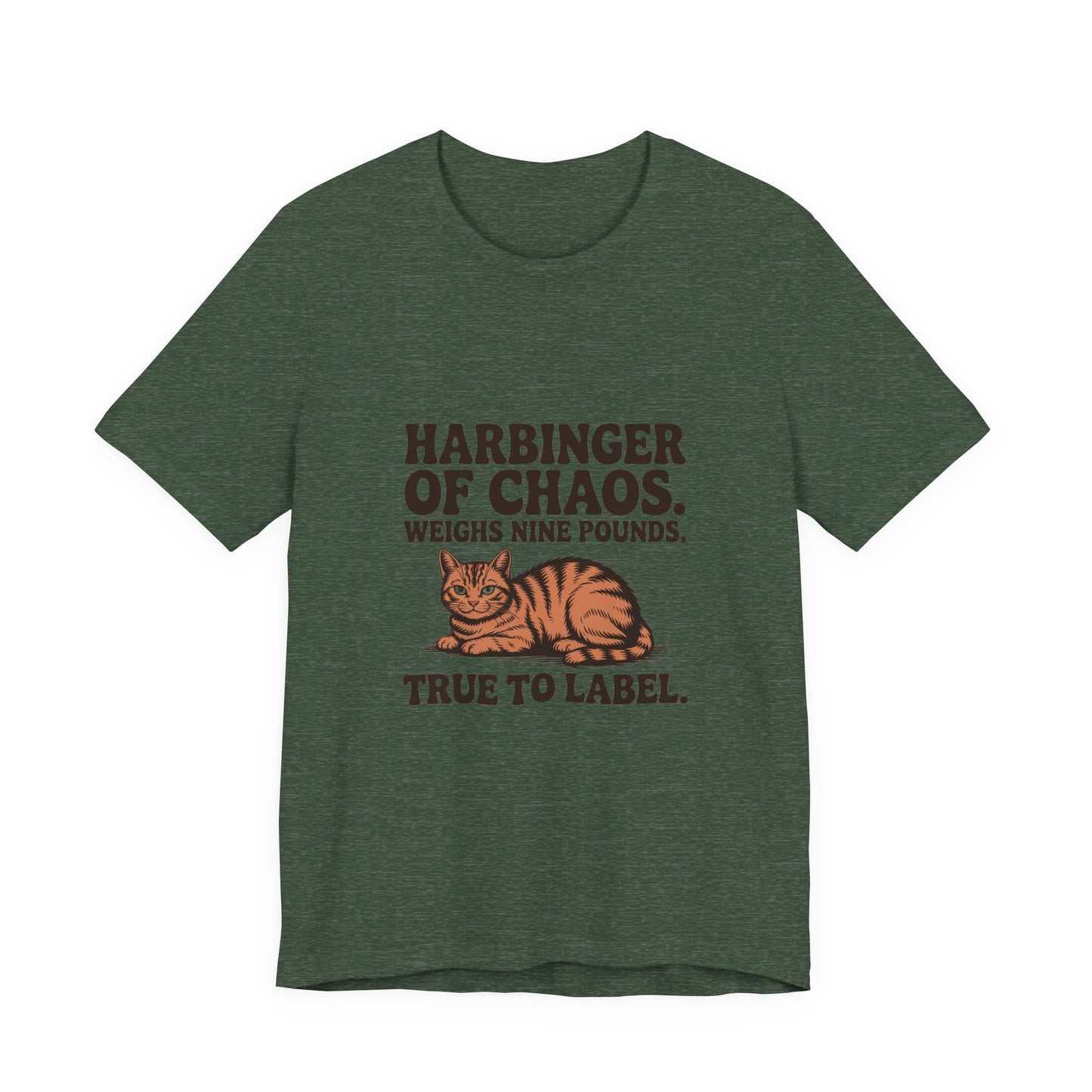 Orange Tabby — Harbinger of chaos. Weighs nine pounds