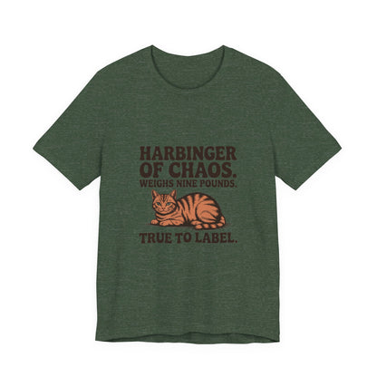 Orange Tabby — Harbinger of chaos. Weighs nine pounds