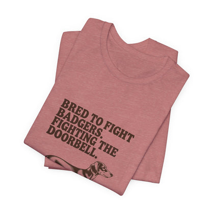 Dachshund — Bred to fight badgers. Fighting the doorbell