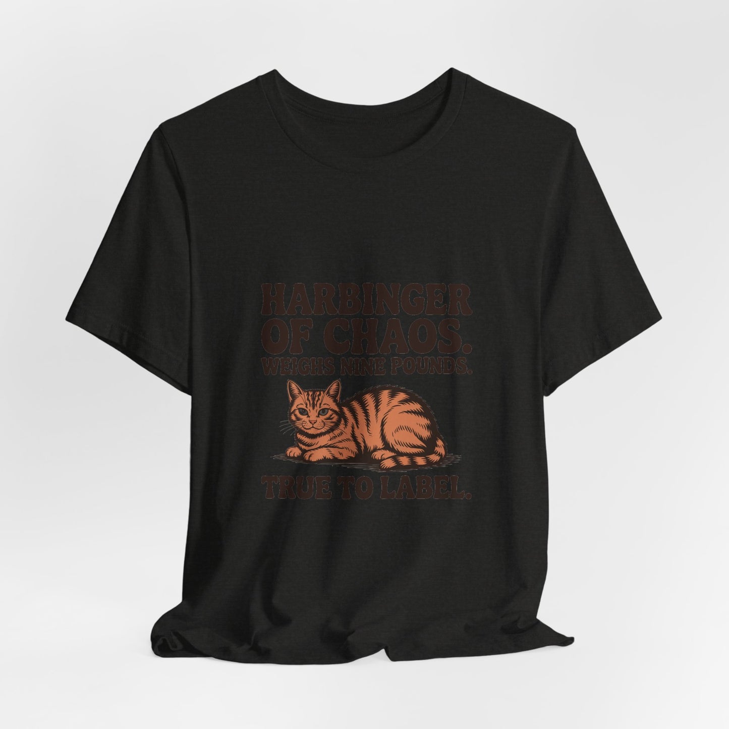 Orange Tabby — Harbinger of chaos. Weighs nine pounds