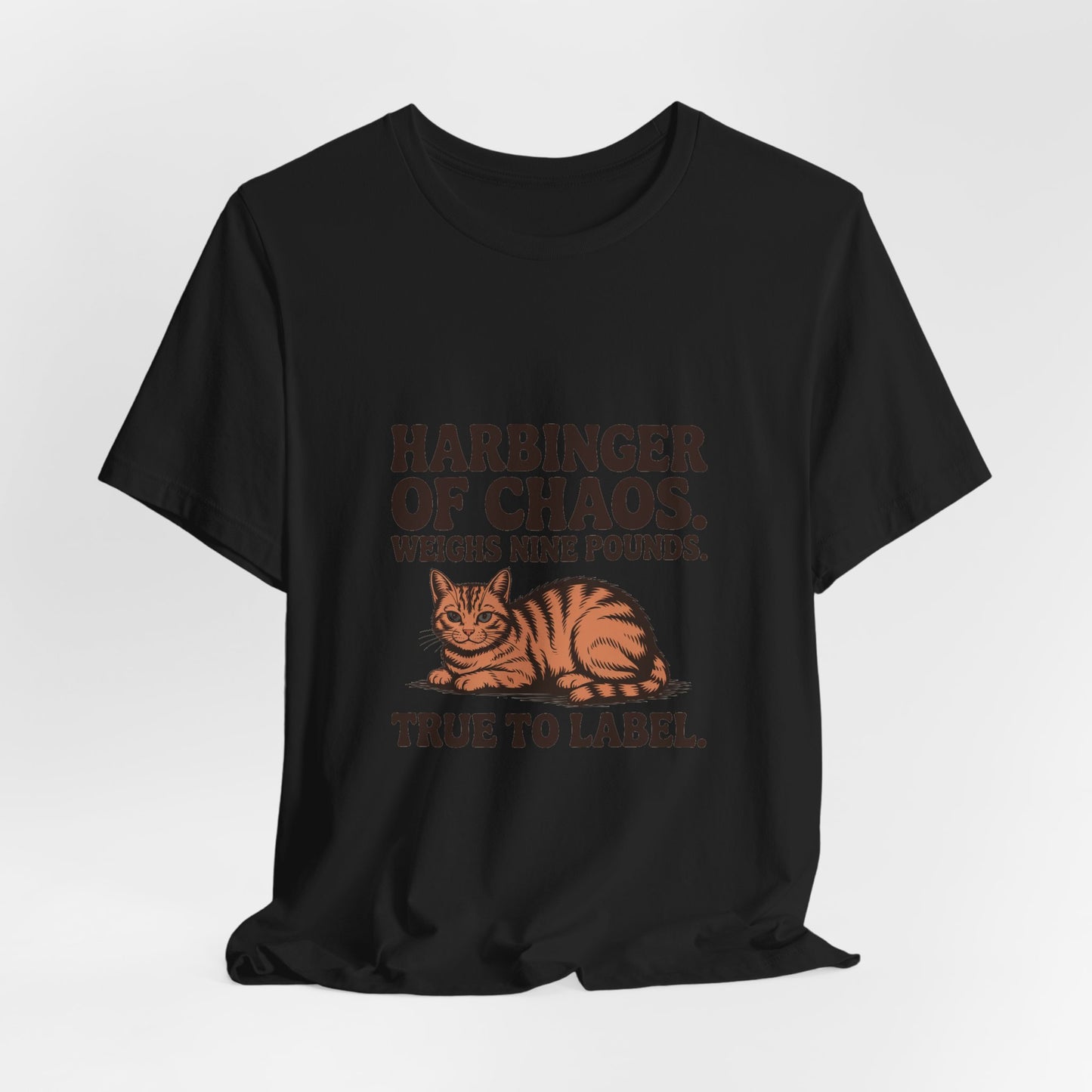 Orange Tabby — Harbinger of chaos. Weighs nine pounds