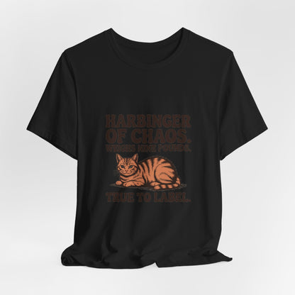 Orange Tabby — Harbinger of chaos. Weighs nine pounds