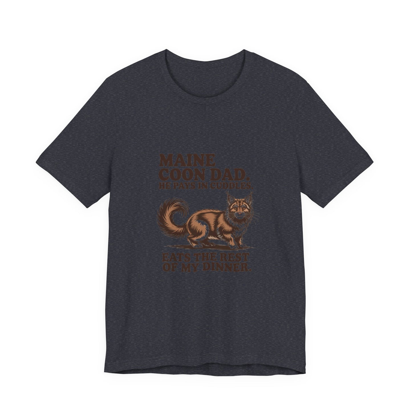 Maine Coon — Maine Coon Dad. He pays in cuddles