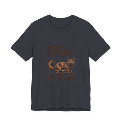 Maine Coon — Maine Coon Dad. He pays in cuddles