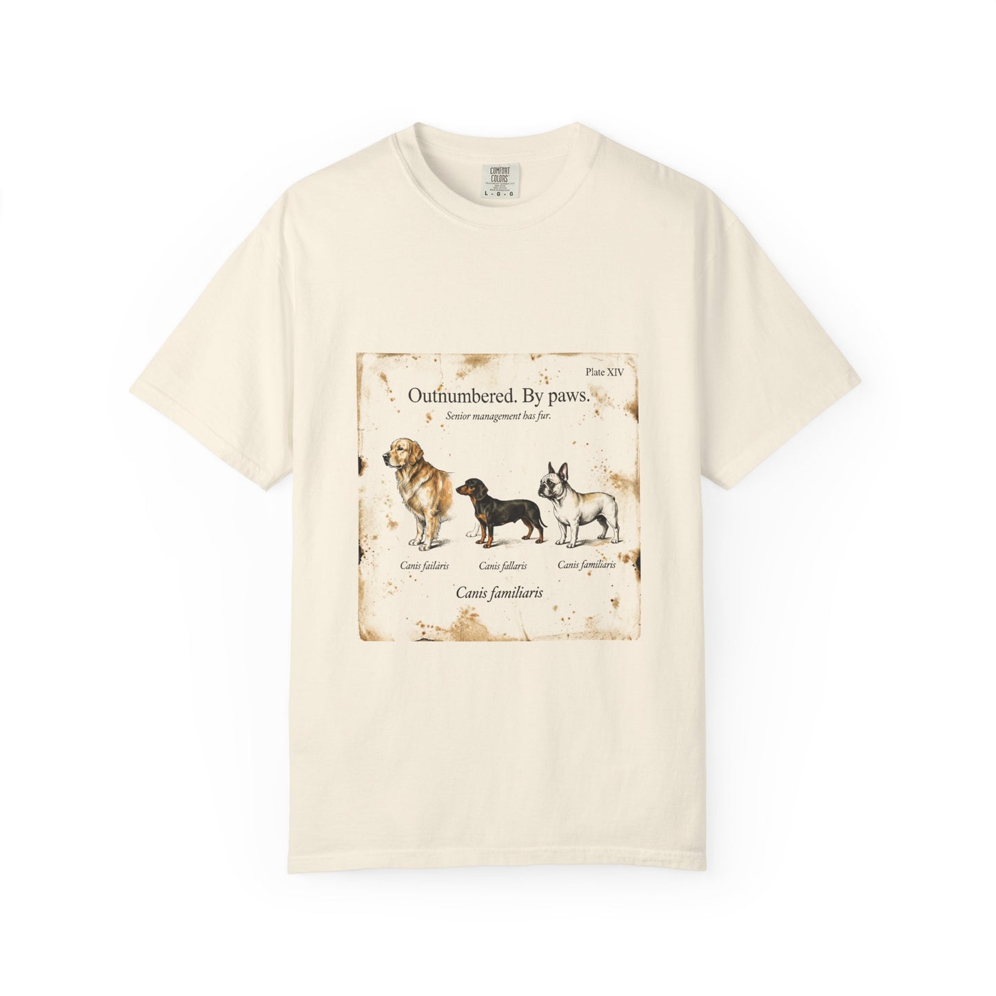Dog Mom — Outnumbered by Paws