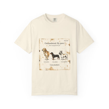 Dog Mom — Outnumbered by Paws
