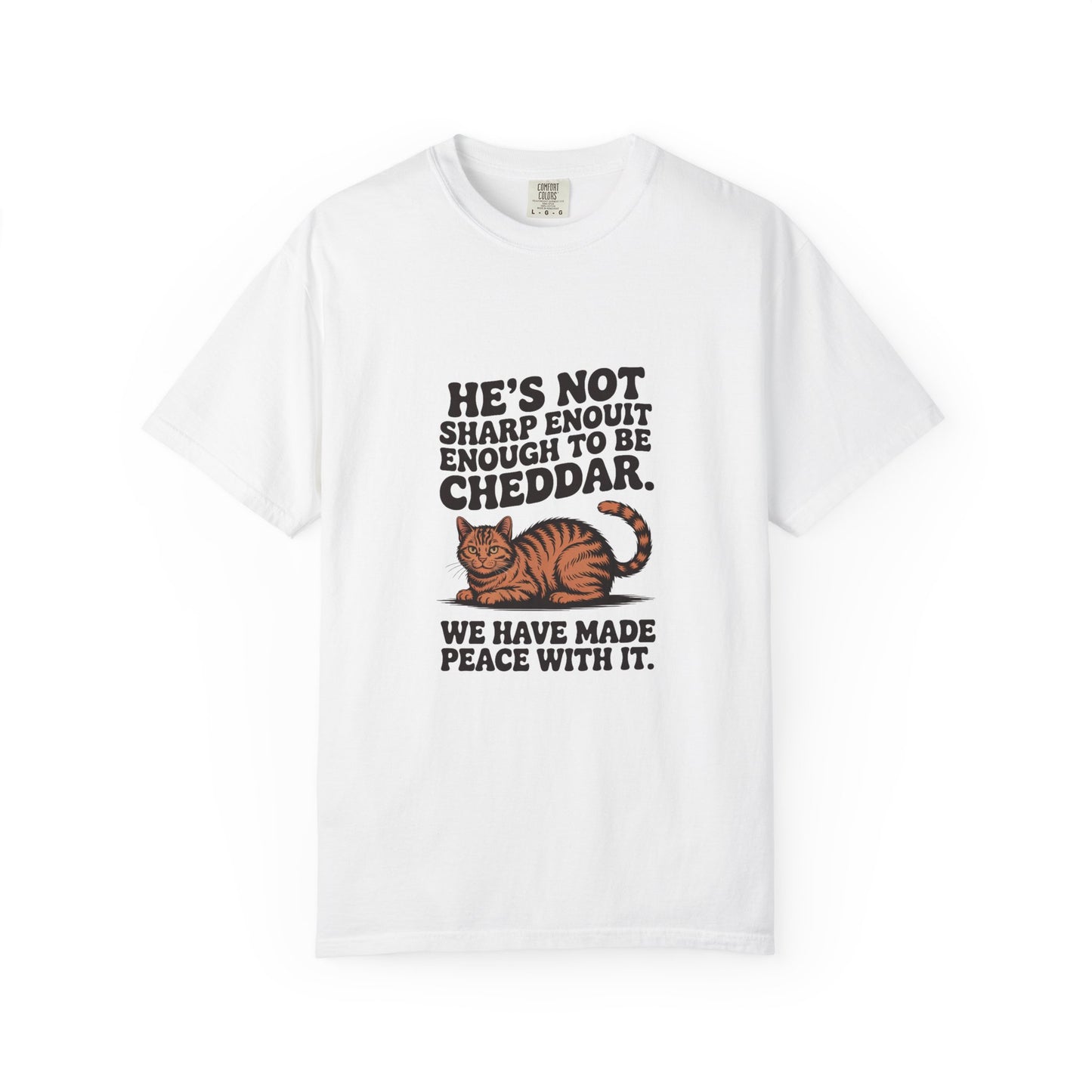 Orange Tabby — He's not sharp enough to be cheddar