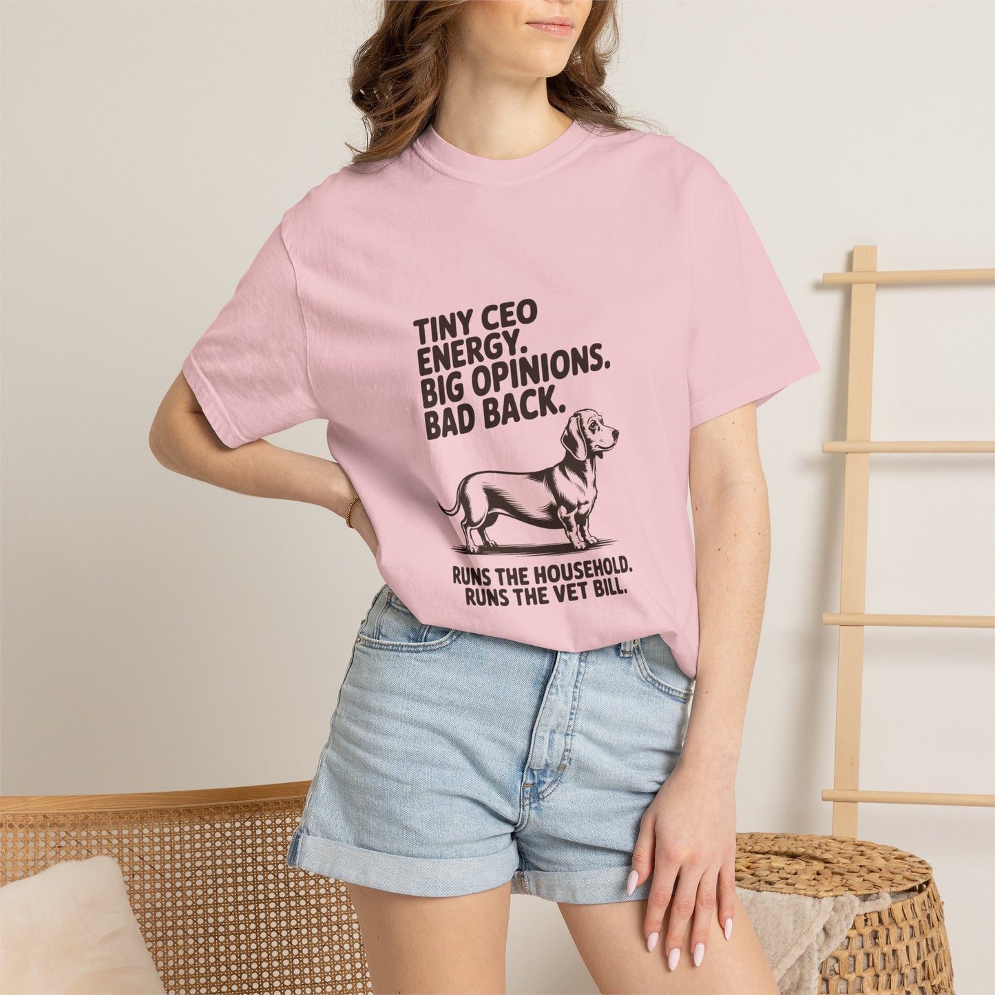 Dachshund — Tiny CEO energy. Big opinions. Bad back