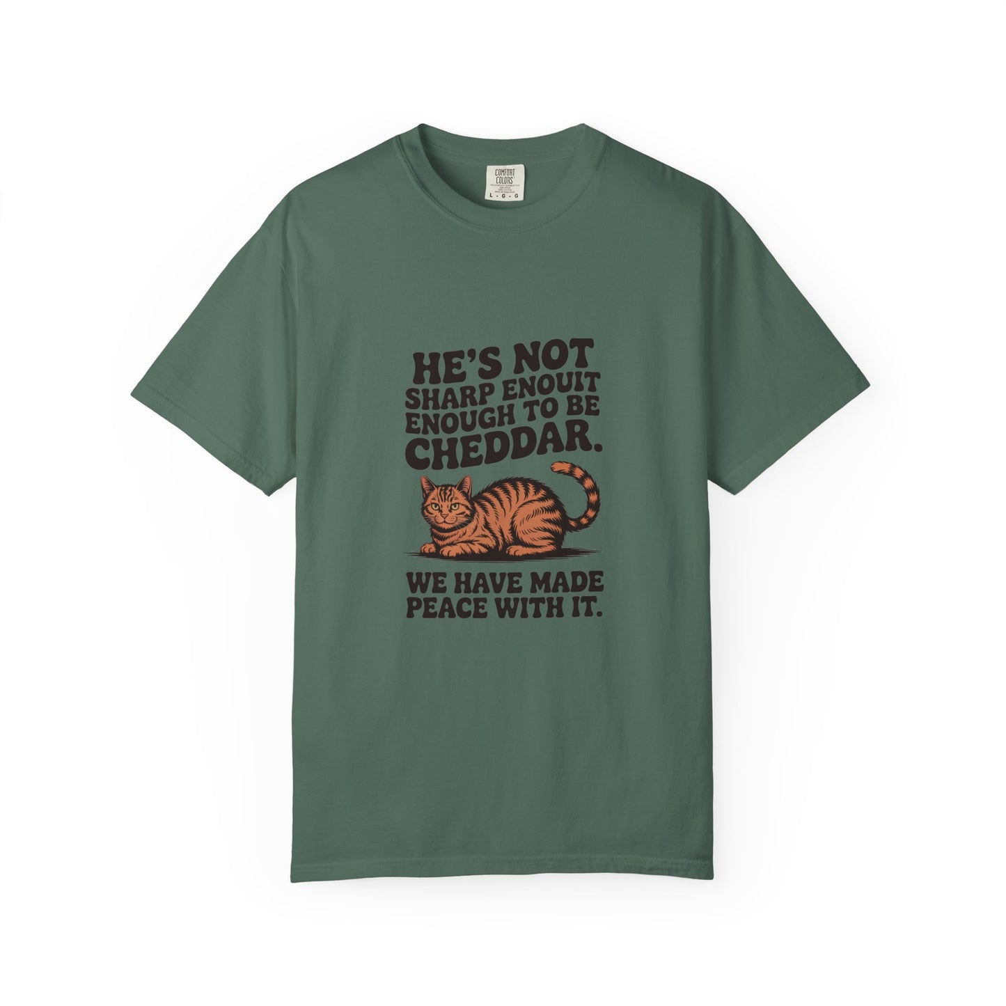 Orange Tabby — He's not sharp enough to be cheddar