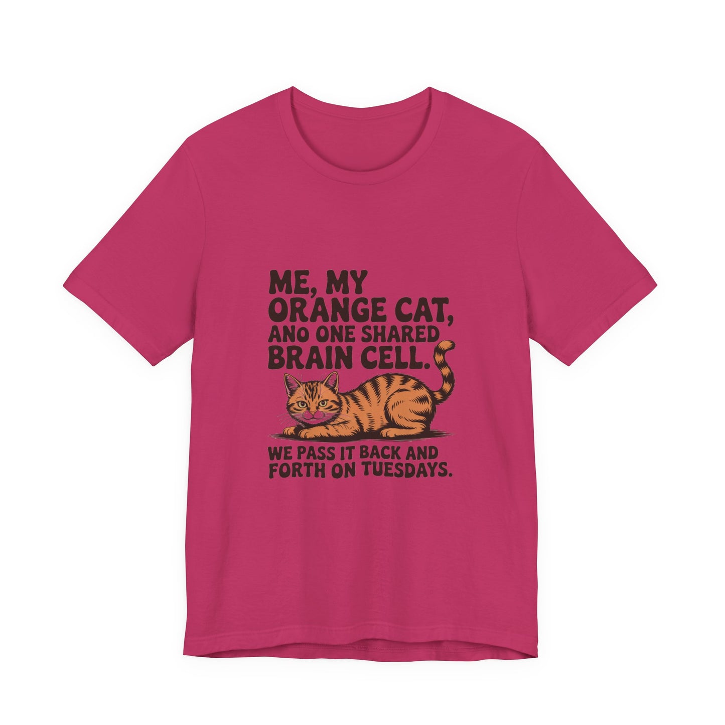 Orange Tabby — Me, my orange cat, and one shared brain cell