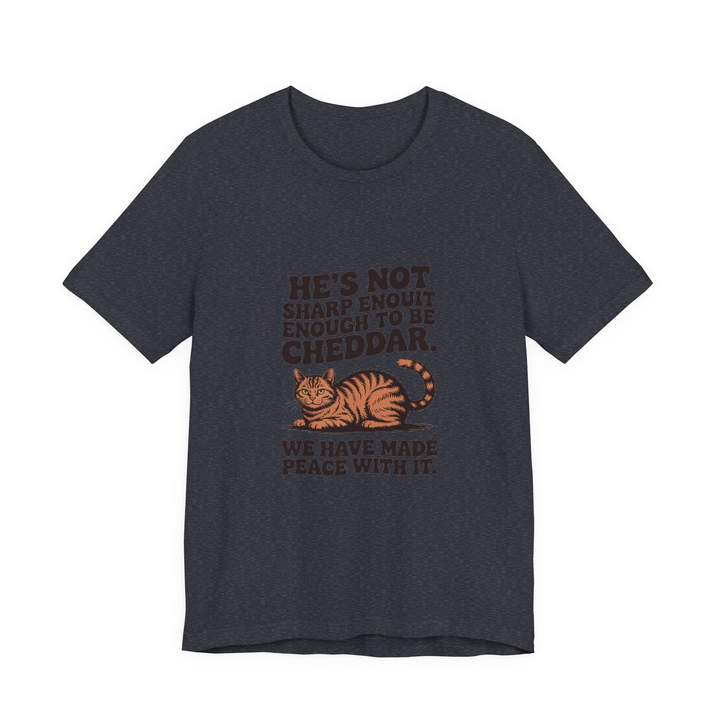 Orange Tabby — He's not sharp enough to be cheddar