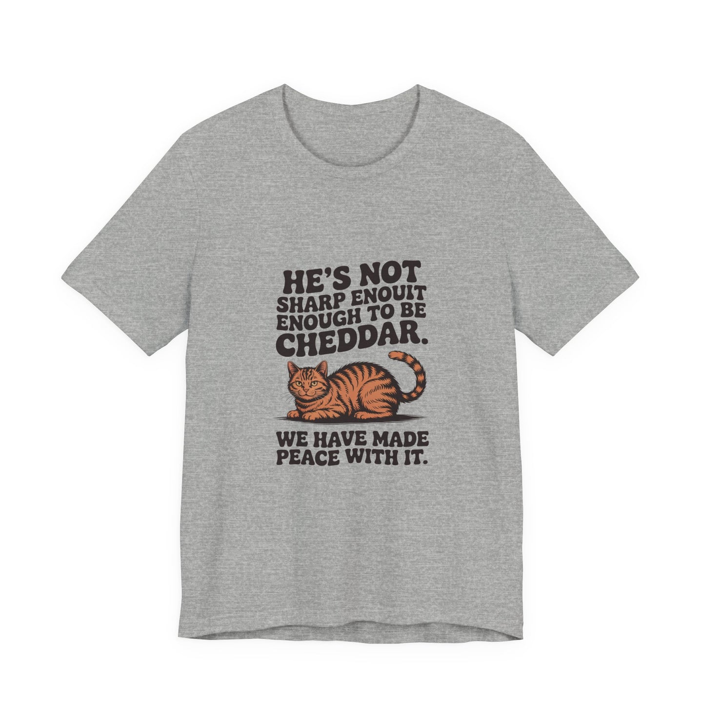 Orange Tabby — He's not sharp enough to be cheddar