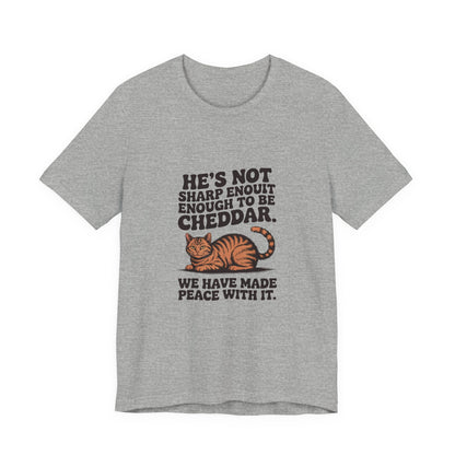 Orange Tabby — He's not sharp enough to be cheddar