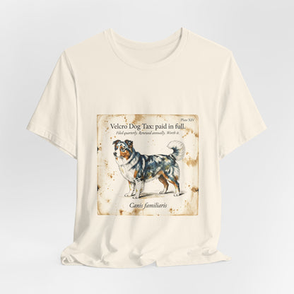 Australian Shepherd — Velcro Dog Tax — Paid in Full