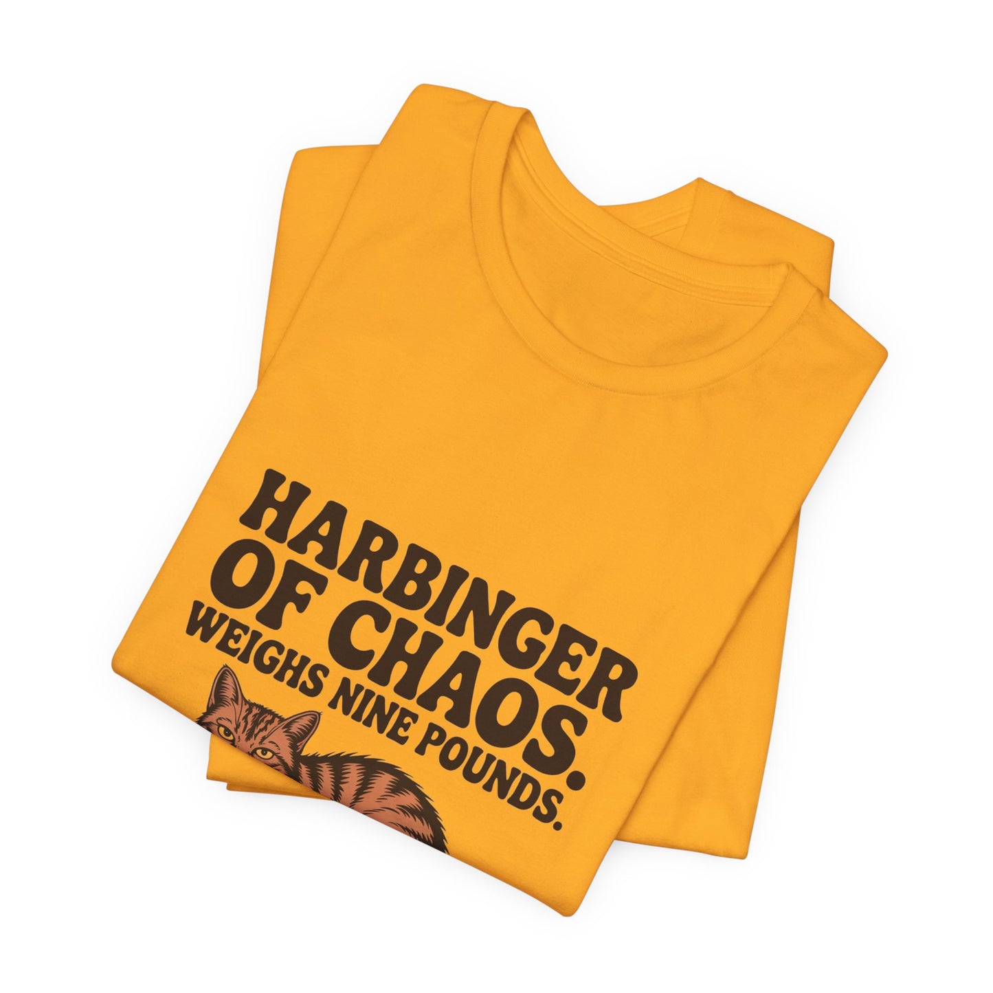 Orange Tabby — Harbinger of chaos. Weighs nine pounds