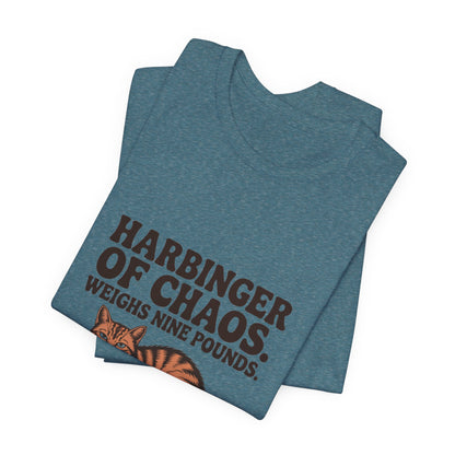 Orange Tabby — Harbinger of chaos. Weighs nine pounds