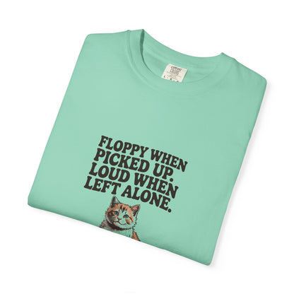 Ragdoll — Floppy when picked up. Loud when left alone