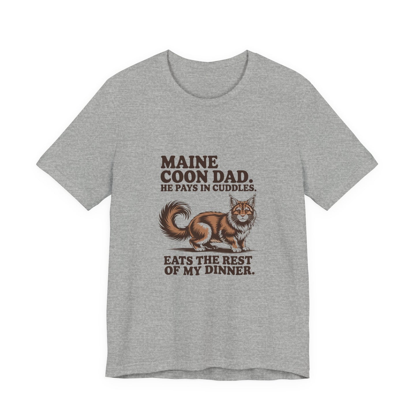 Maine Coon — Maine Coon Dad. He pays in cuddles
