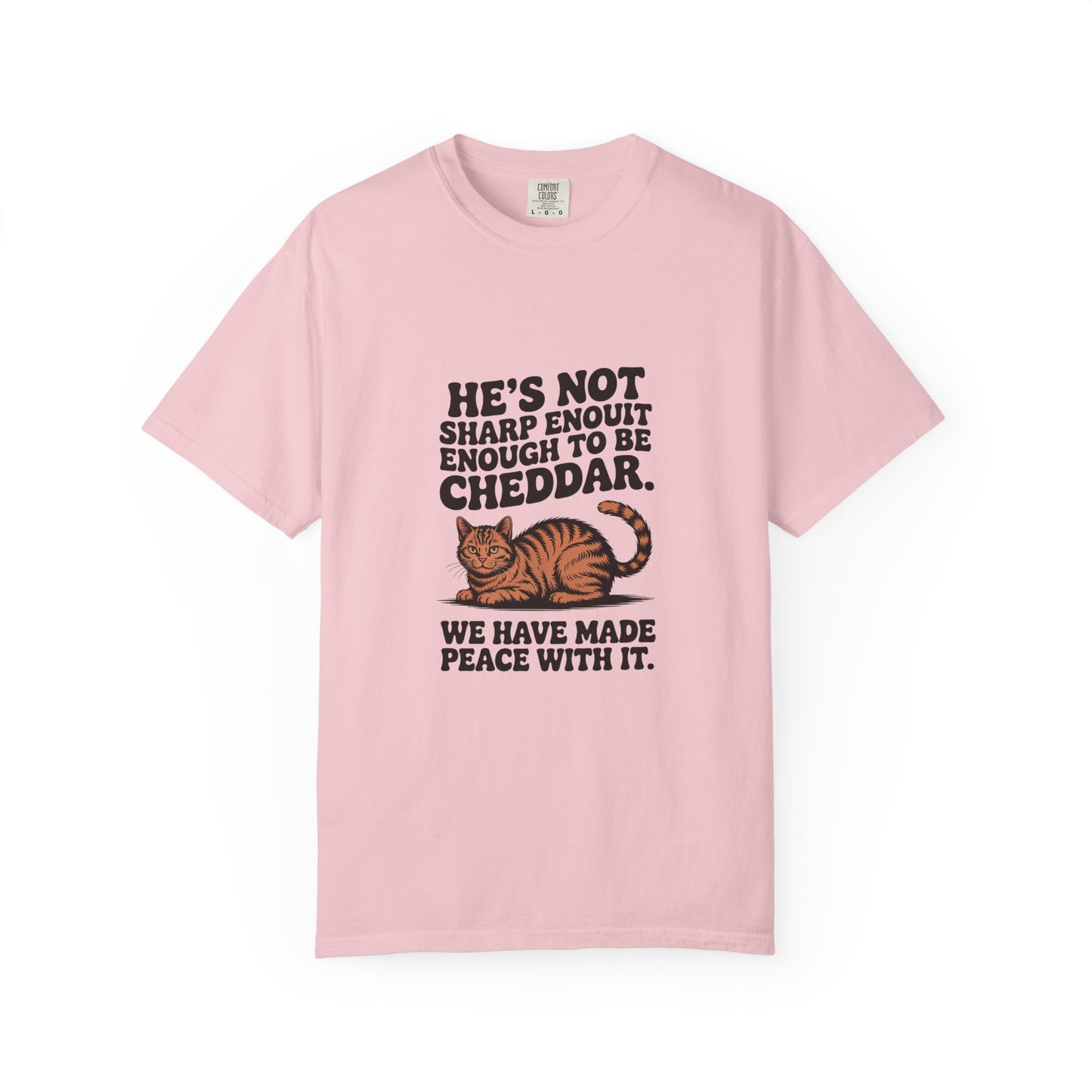 Orange Tabby — He's not sharp enough to be cheddar