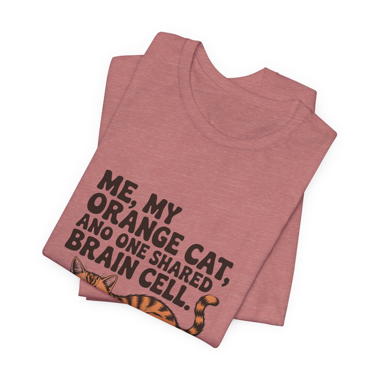 Orange Tabby — Me, my orange cat, and one shared brain cell