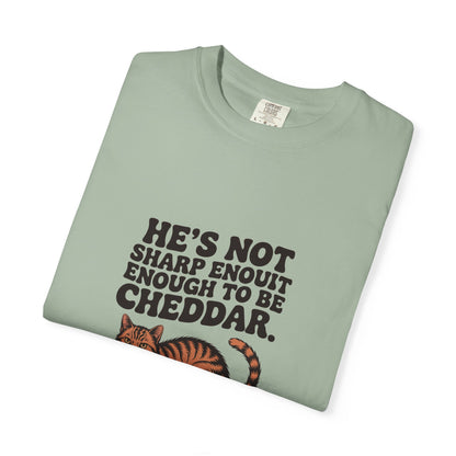 Orange Tabby — He's not sharp enough to be cheddar