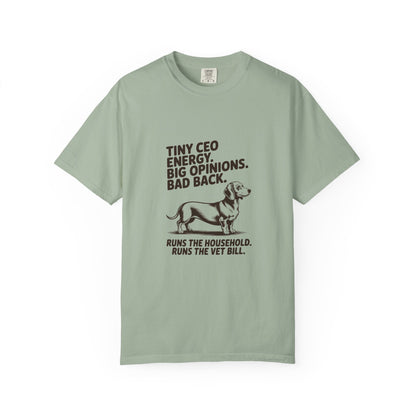 Dachshund — Tiny CEO energy. Big opinions. Bad back