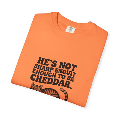 Orange Tabby — He's not sharp enough to be cheddar