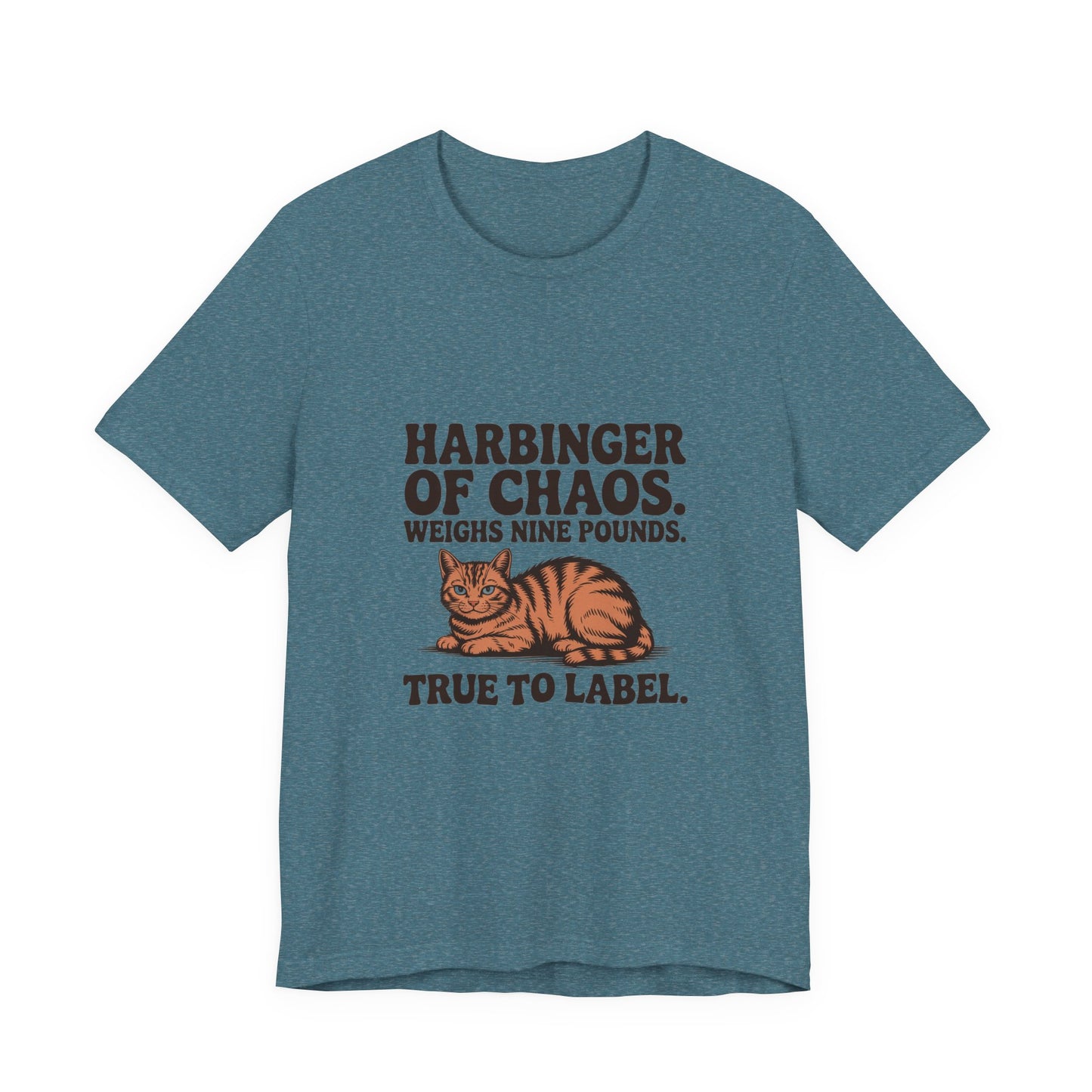 Orange Tabby — Harbinger of chaos. Weighs nine pounds