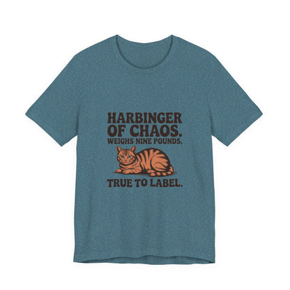 Orange Tabby — Harbinger of chaos. Weighs nine pounds